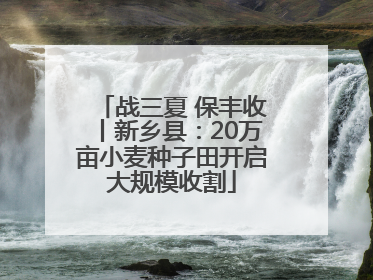战三夏 保丰收丨新乡县：20万亩小麦种子田开启大规模收割