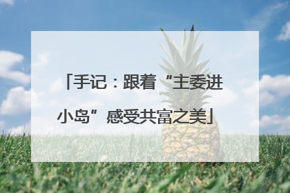 手记：跟着“主委进小岛”感受共富之美