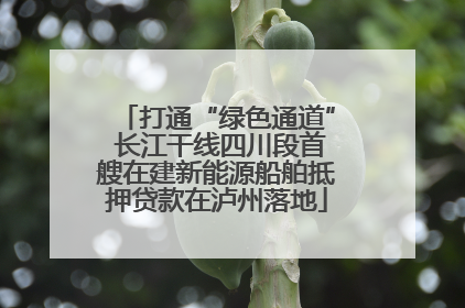 打通“绿色通道” 长江干线四川段首艘在建新能源船舶抵押贷款在泸州落地