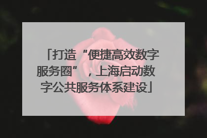 打造“便捷高效数字服务圈”，上海启动数字公共服务体系建设