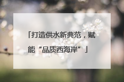 打造供水新典范，赋能“品质西海岸”