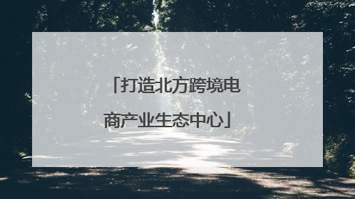 打造北方跨境电商产业生态中心