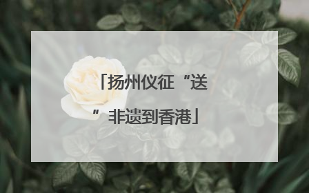 扬州仪征“送”非遗到香港