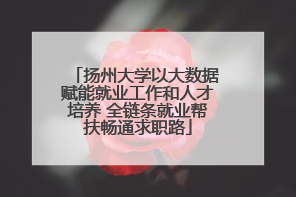 扬州大学以大数据赋能就业工作和人才培养 全链条就业帮扶畅通求职路