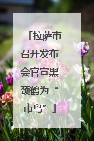 拉萨市召开发布会官宣黑颈鹤为“市鸟”