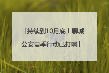 持续到10月底！聊城公安夏季行动已打响