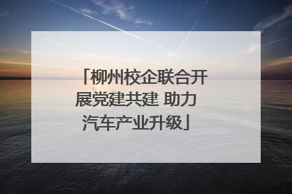 柳州校企联合开展党建共建 助力汽车产业升级