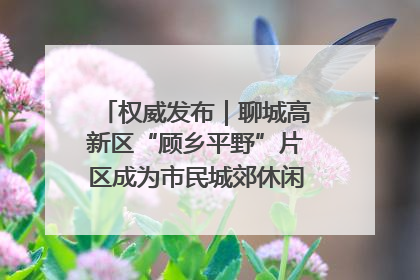 权威发布｜聊城高新区“顾乡平野”片区成为市民城郊休闲全新目的地