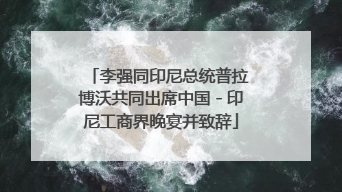 李强同印尼总统普拉博沃共同出席中国－印尼工商界晚宴并致辞
