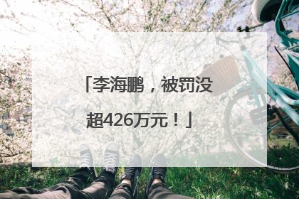 李海鹏，被罚没超426万元！