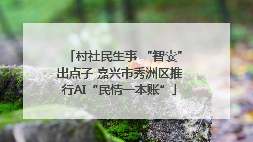 村社民生事 “智囊”出点子 嘉兴市秀洲区推行AI“民情一本账”