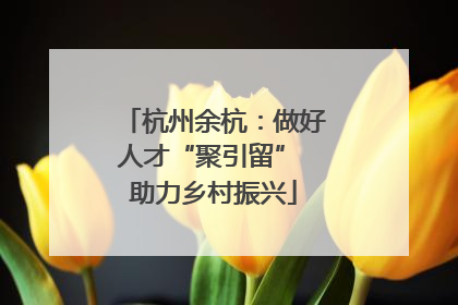 杭州余杭：做好人才“聚引留” 助力乡村振兴