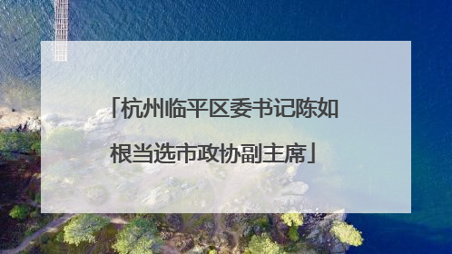 杭州临平区委书记陈如根当选市政协副主席