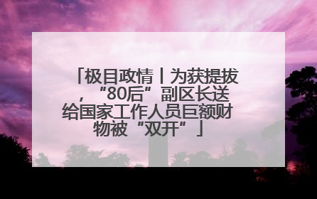 极目政情丨为获提拔，“80后”副区长送给国家工作人员巨额财物被“双开”