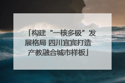 构建“一核多极”发展格局 四川宜宾打造产教融合城市样板