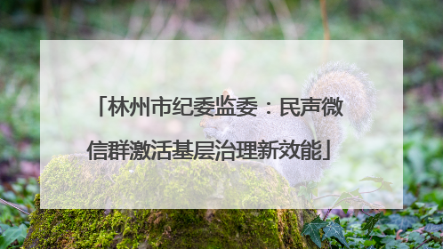 林州市纪委监委：民声微信群激活基层治理新效能