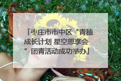 枣庄市市中区“青穗成长计划 星空思享会”团青活动成功举办