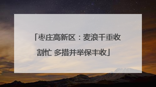 枣庄高新区：麦浪千重收割忙 多措并举保丰收