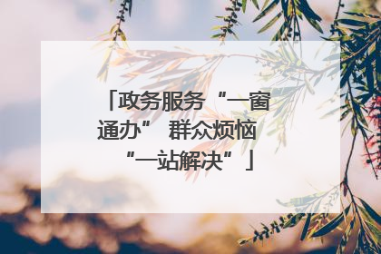 政务服务“一窗通办” 群众烦恼“一站解决”