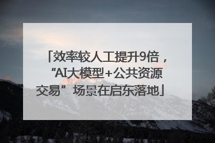 效率较人工提升9倍，“AI大模型+公共资源交易”场景在启东落地