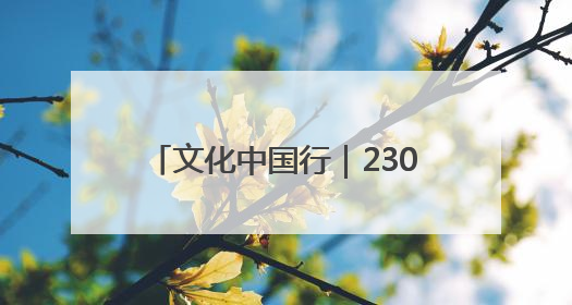 文化中国行｜230余件文物诉说千年巴蜀文明 成渝地区基建考古成果展开展