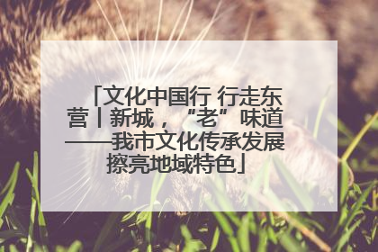 文化中国行 行走东营丨新城，“老”味道——我市文化传承发展擦亮地域特色