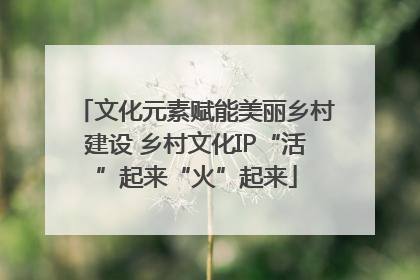 文化元素赋能美丽乡村建设 乡村文化IP“活”起来“火”起来