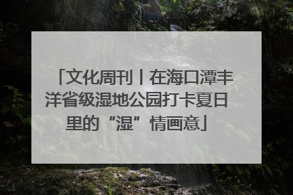 文化周刊丨在海口潭丰洋省级湿地公园打卡夏日里的“湿”情画意
