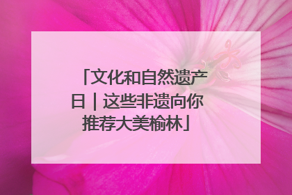 文化和自然遗产日｜这些非遗向你推荐大美榆林