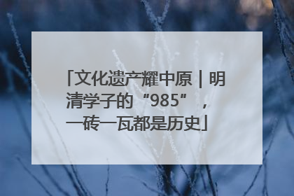 文化遗产耀中原｜明清学子的“985”，一砖一瓦都是历史