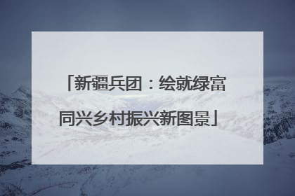 新疆兵团：绘就绿富同兴乡村振兴新图景