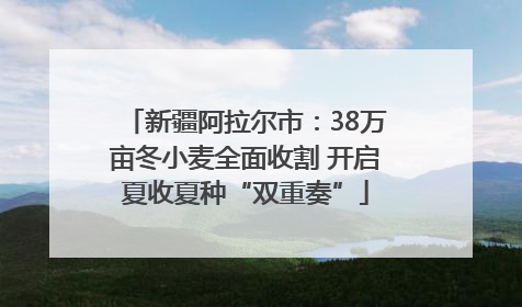 新疆阿拉尔市：38万亩冬小麦全面收割 开启夏收夏种“双重奏”