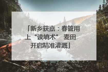 新乡获嘉：春管用上“读墒术” 麦田开启精准灌溉