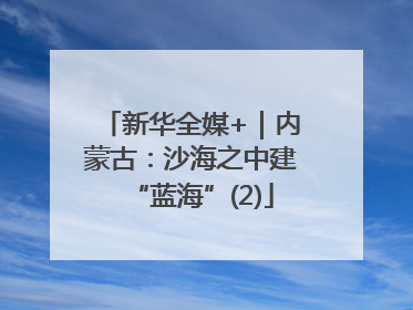 新华全媒+｜内蒙古：沙海之中建“蓝海”(2)