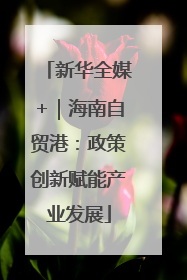 新华全媒+｜海南自贸港：政策创新赋能产业发展