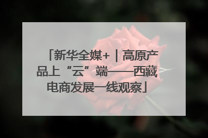 新华全媒+｜高原产品上“云”端——西藏电商发展一线观察