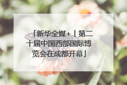 新华全媒+丨第二十届中国西部国际博览会在成都开幕