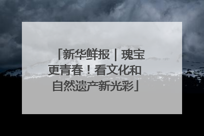 新华鲜报｜瑰宝更青春！看文化和自然遗产新光彩