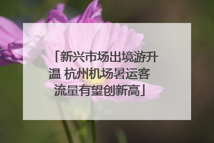 新兴市场出境游升温 杭州机场暑运客流量有望创新高