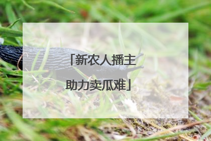 新农人播主 助力卖瓜难
