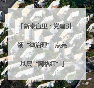 新泰宫里：党建引领“微治理” 点亮基层“网格红”