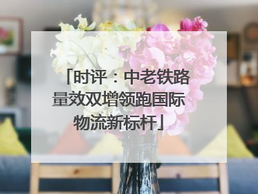 时评：中老铁路量效双增领跑国际物流新标杆