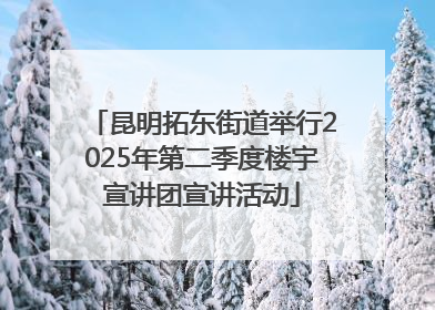昆明拓东街道举行2025年第二季度楼宇宣讲团宣讲活动