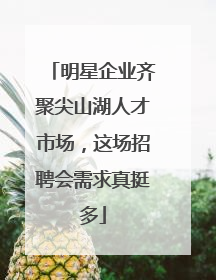 明星企业齐聚尖山湖人才市场，这场招聘会需求真挺多