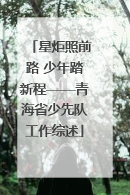 星炬照前路 少年踏新程——青海省少先队工作综述