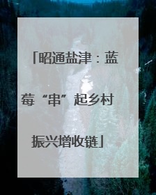 昭通盐津：蓝莓“串”起乡村振兴增收链