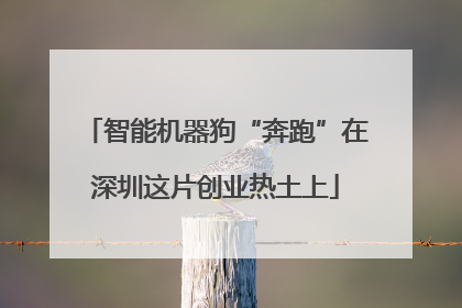 智能机器狗“奔跑”在深圳这片创业热土上