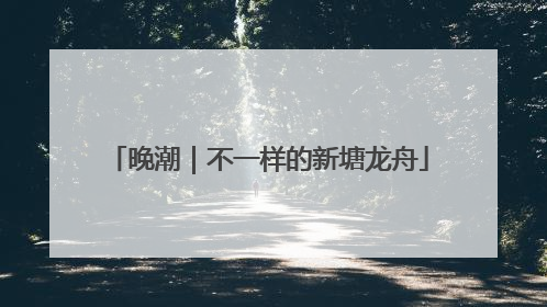 晚潮｜不一样的新塘龙舟