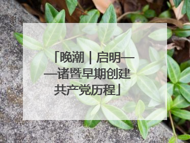 晚潮｜启明——诸暨早期创建共产党历程