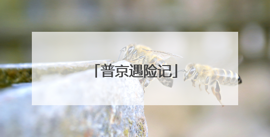 普京遇险记